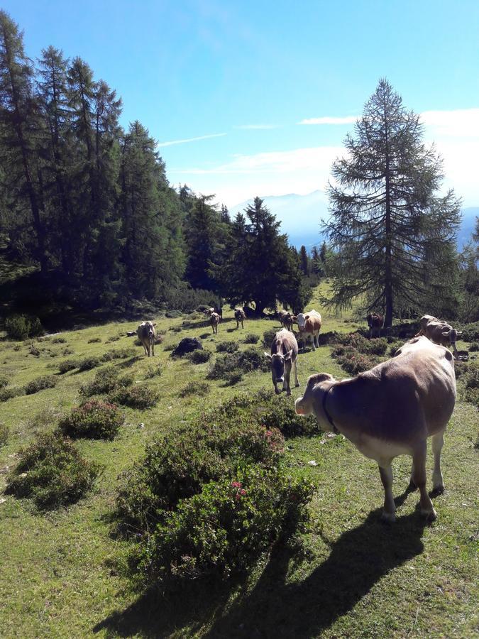 Berghotel Schlickeralm 1.616 M Fulpmes Luaran gambar